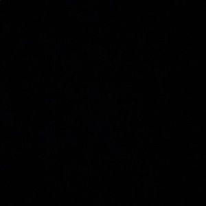 Meet your Posher, Guillermo